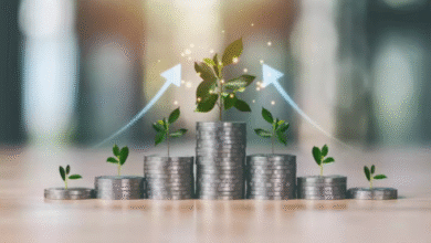 SME IPO
