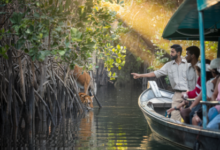 sundarban tour operator