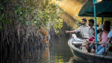 sundarban tour operator