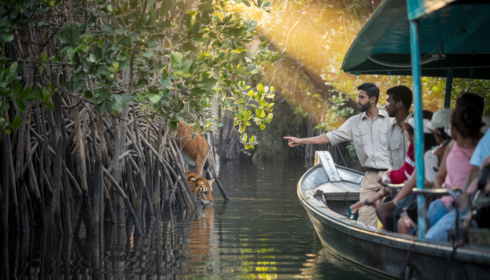 sundarban tour operator