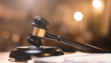 Immigration Habeas Corpus Attorney