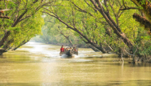 Sundarban tour package