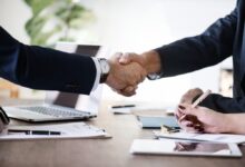 litigation and consultation services