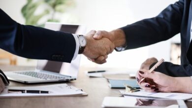 litigation and consultation services