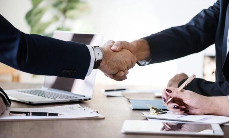 litigation and consultation services